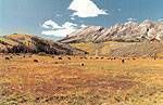Gunnison Valley