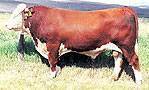 WAB Pres 36J